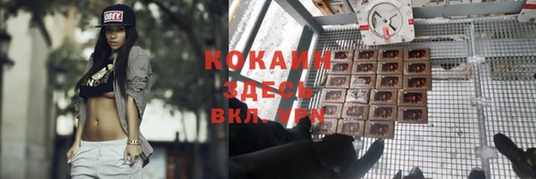 apvp Алзамай