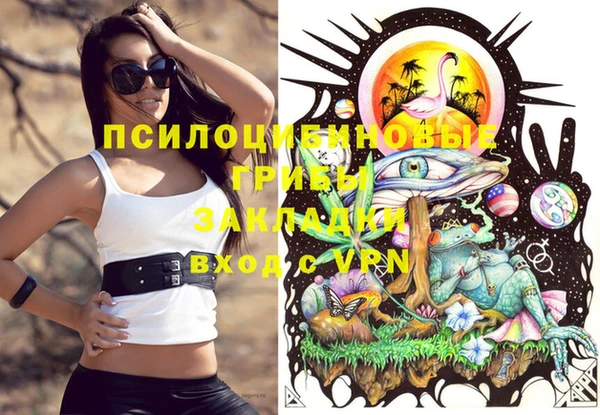 apvp Алзамай