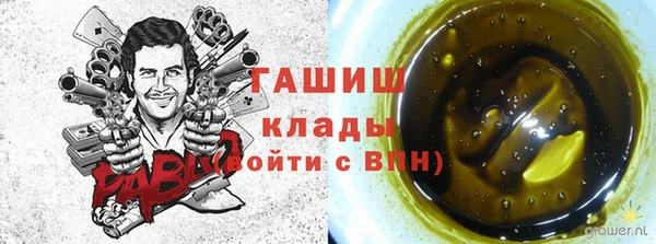 apvp Алзамай