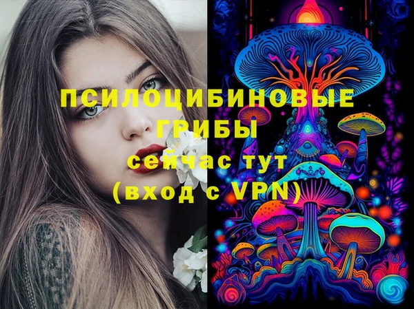 эйфоретик Алексин
