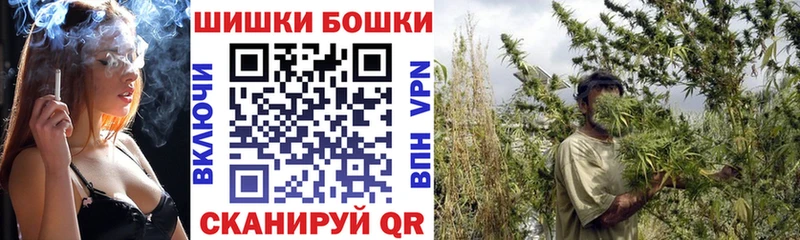где купить наркоту  Олонец  Марихуана семена 